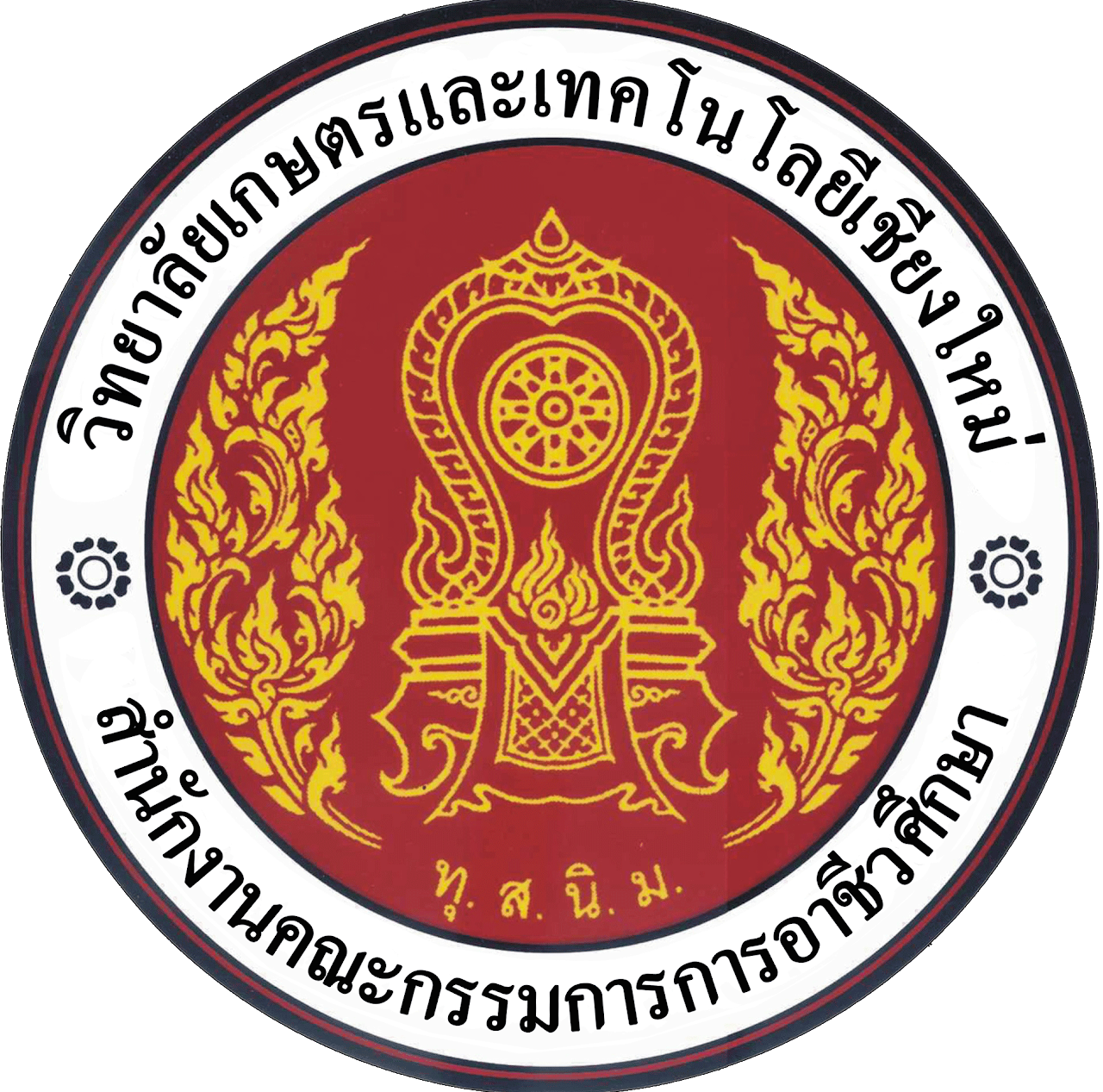 CMCAT Logo